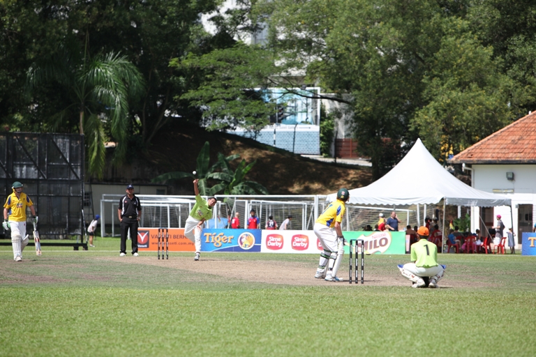 Cricket pitch